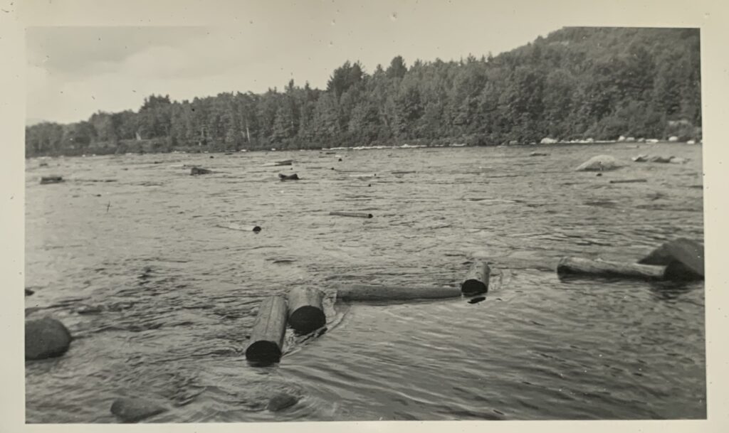 Logs going down the Hudson River